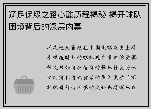 辽足保级之路心酸历程揭秘 揭开球队困境背后的深层内幕