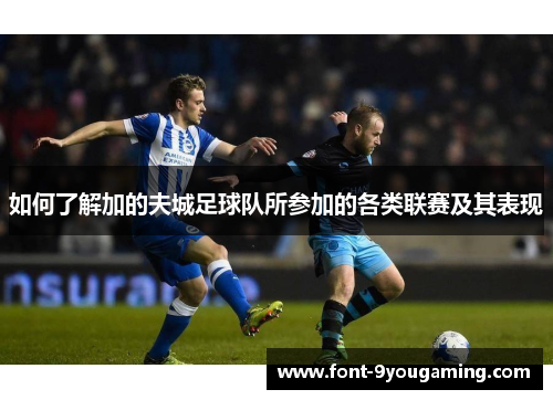 如何了解加的夫城足球队所参加的各类联赛及其表现